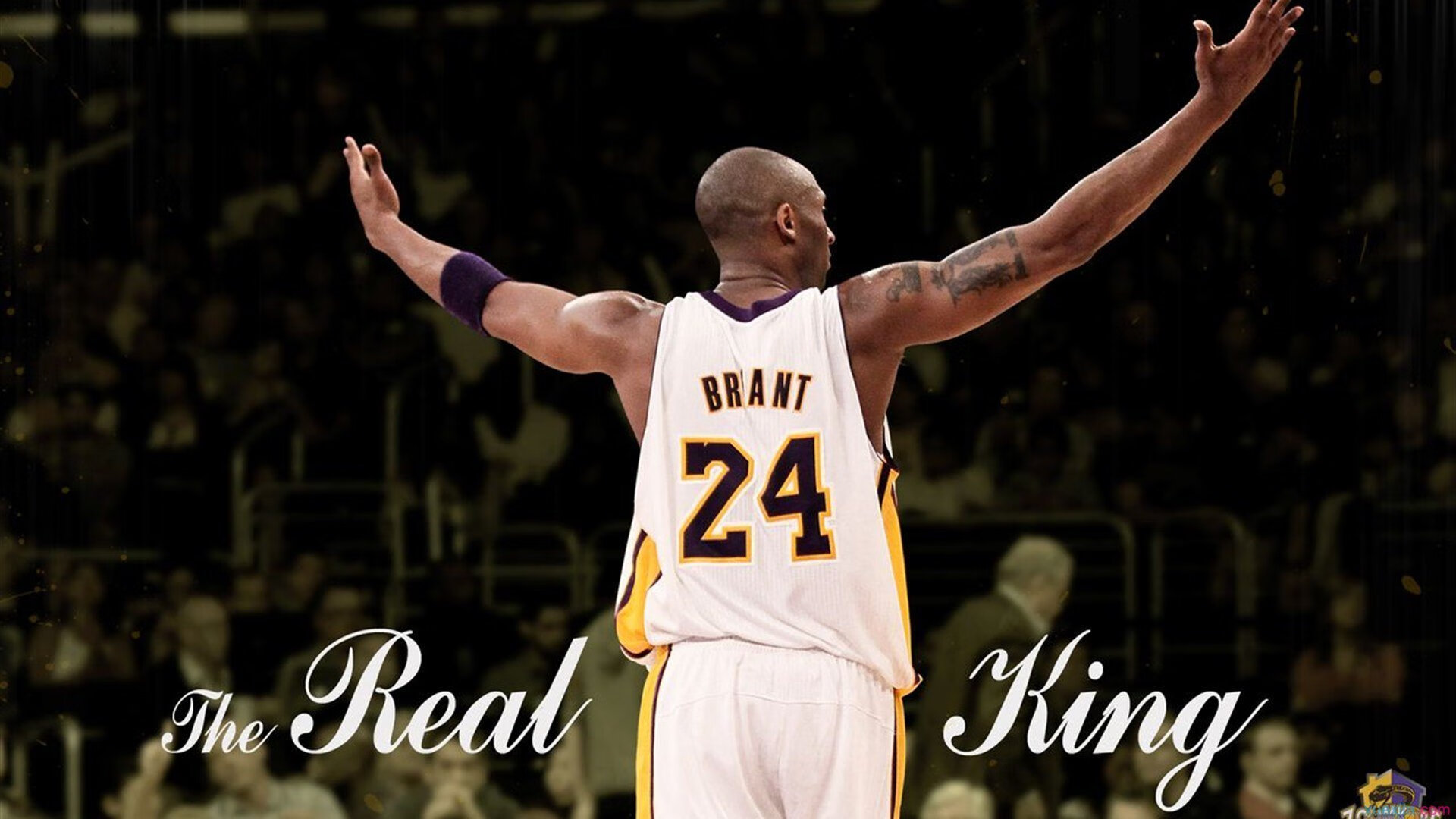 九游体育娱乐-步行者前锋华拉迪强势回归场均+得分，步行者为何交易奥拉迪波