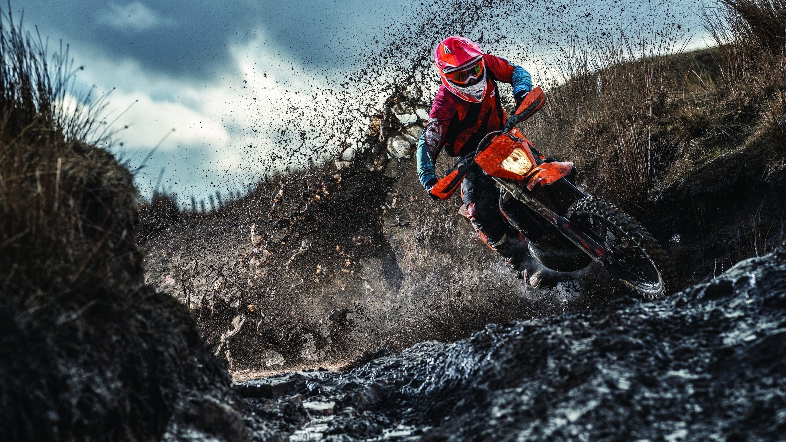 韩选手星际争霸训练成果显著，星际争霸韩国徒弟是谁