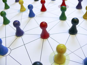 九游赛事-中国篮球教练员领导力培养路径，中国篮球协会篮球教练员等级