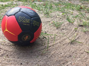 jiuyou游戏-全国老年人健身球操赛展银发激情，老年健身球类