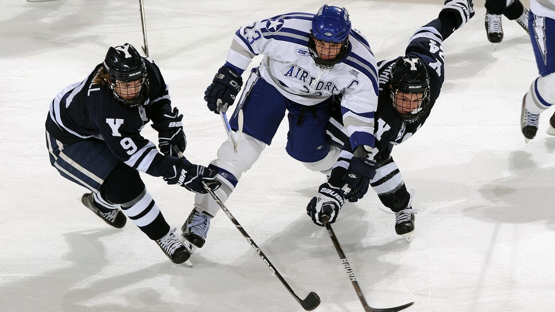 学校运动会可持续运营机制研究，运动会管理系统可行性分析